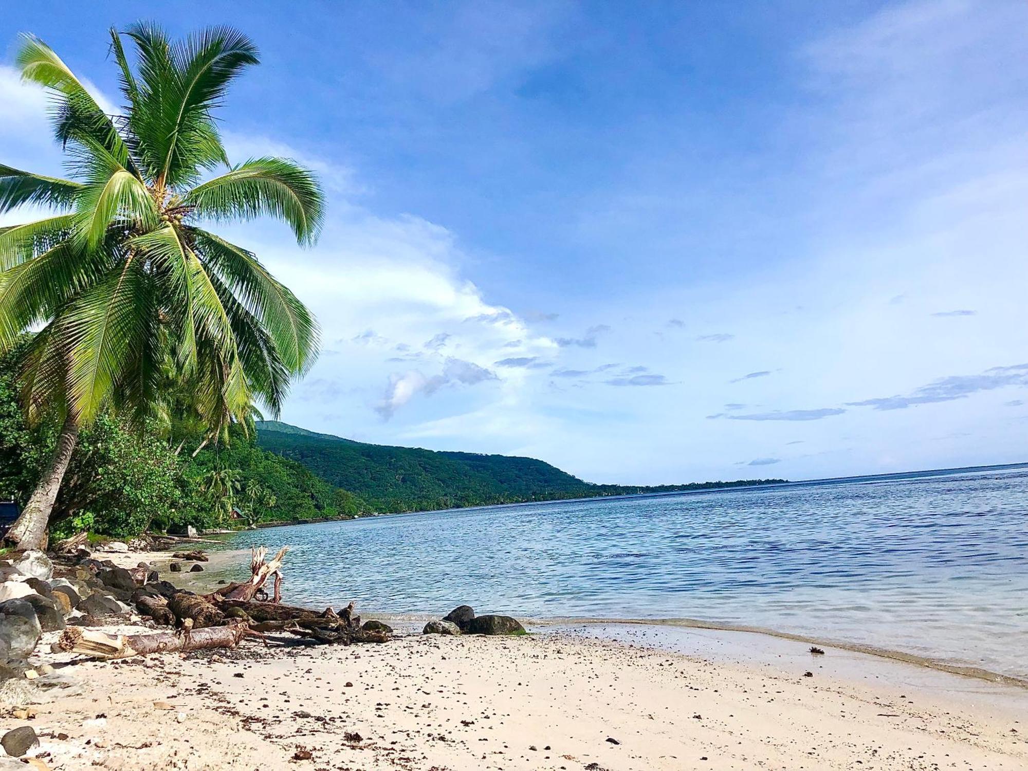 Maui Homestay Vue Ocean Exceptionnelle & Baleines En Saison Tohautu Ngoại thất bức ảnh